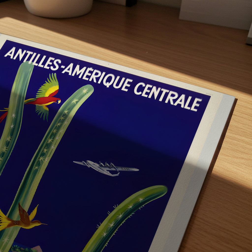 Vintage Central America Travel Poster 1950, Air France Antilles Amerique Centrale, Tropical Bird Art Print