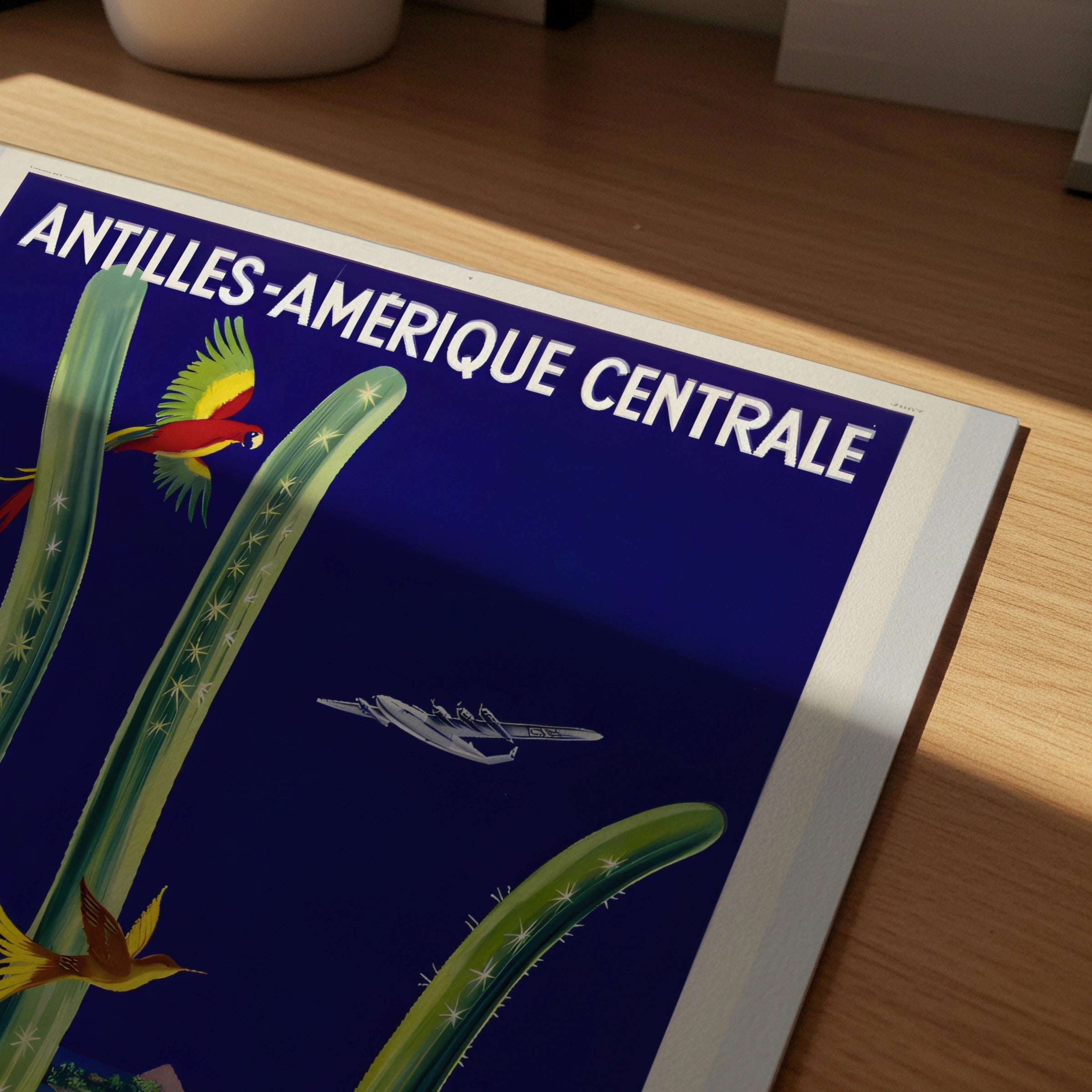 Vintage Central America Travel Poster 1950, Air France Antilles Amerique Centrale, Tropical Bird Art Print