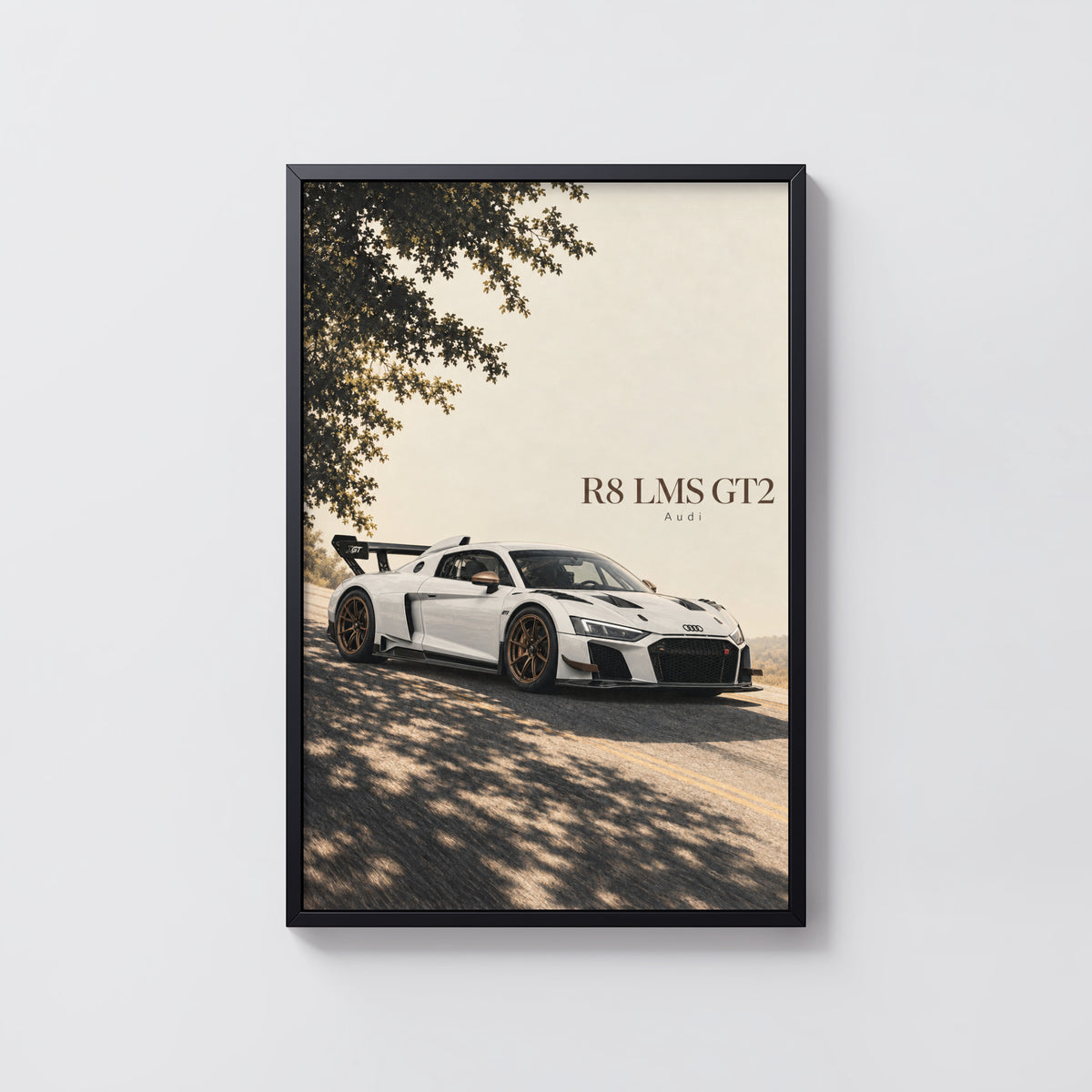 Vintage Audi R8 LMS GT2 Print, Racing Car Wall Art