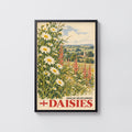Vintage English Daisies Poster, Wildflower Wall Art Print