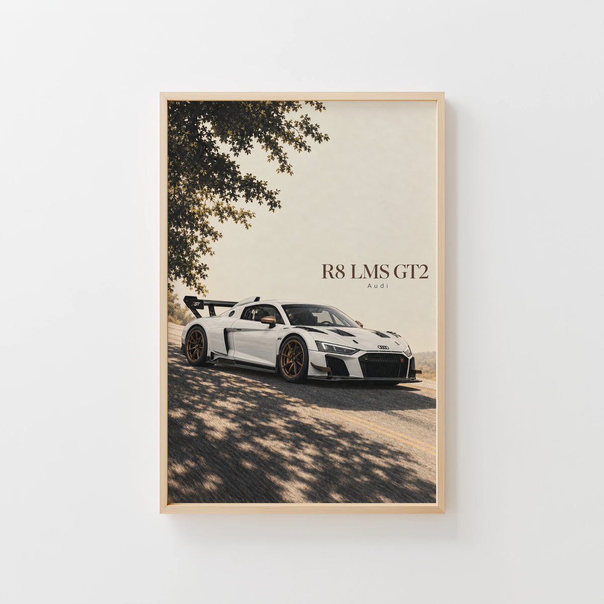 Vintage Audi R8 LMS GT2 Print, Racing Car Wall Art